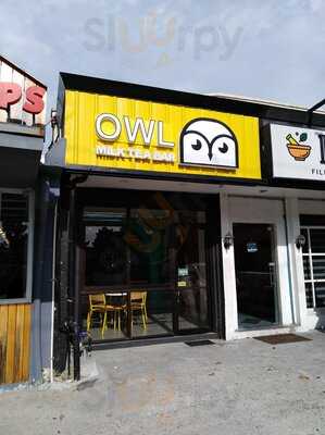 Owl Milk Tea Bar