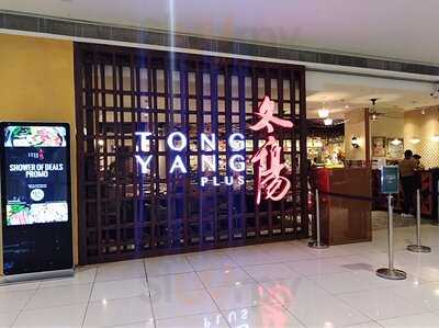 Tong Yang Plus