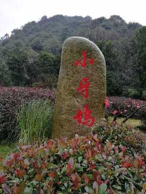 小牙坞山井人家