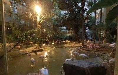 白虎西餐厅