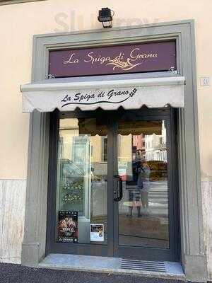 La Spiga DI Grano, Firenze