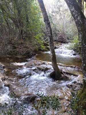 Funtana Is Arinus, Sardegna