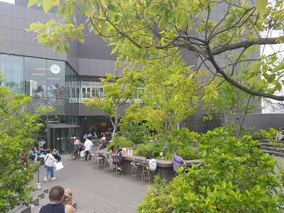 スターバックスコーヒー 原宿店