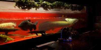 アクアラウンジグランシップ