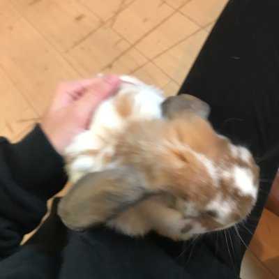 Ra．a．g．f原宿店