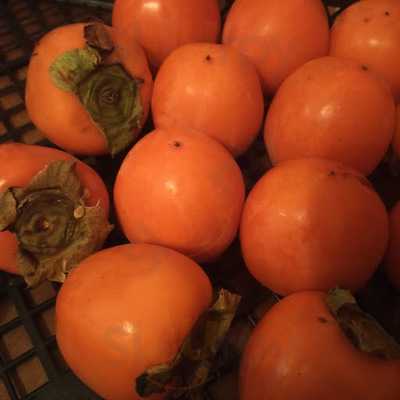 Кафе на ул. Ленина, 181А