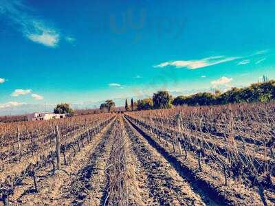 Cantina Michelini I Mufatto