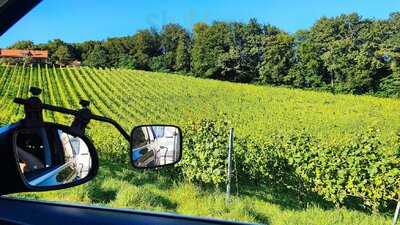 Buschenschank & Weingut Trummer Am Obegg