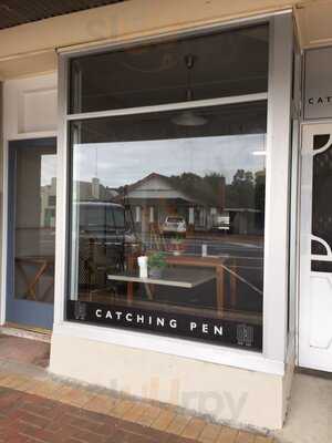 Catching Pen