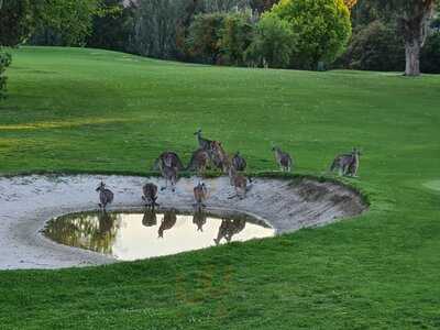 Queanbeyan Golf Club - Clubhouse