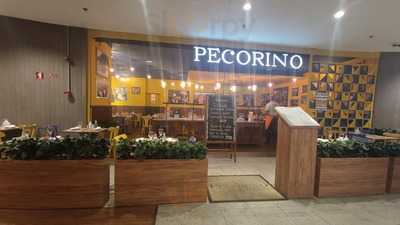 Pecorino Center 3