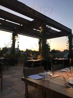 Vintage Wine Bar & Bistro, Nicosia - Menu, prices, restaurant rating