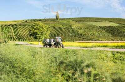 Winzerkeller Auggener Schäf Eg