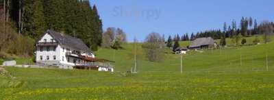 Gasthaus Pension Donishäusle