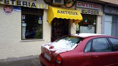 Anteux Burger