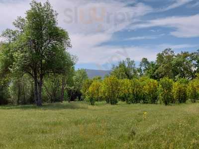 Restaurante Club De Campo- El Tiro