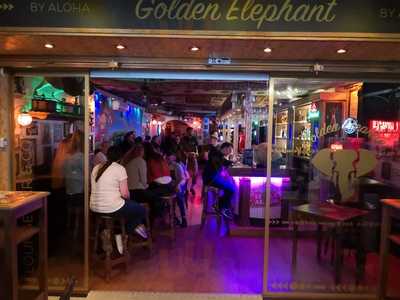 Golden Elephant By Aloha