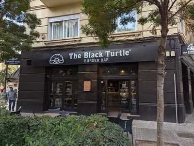 The Black Turtle Abastos