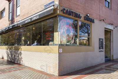 Cantina Canalla