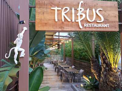 Tribus Restaurant