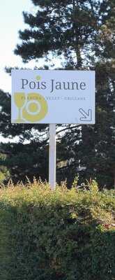 Pois Jaune, La Roche-sur-Yon