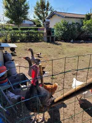 La Ferme à Jojo, Belin-Beliet