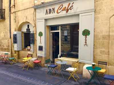 ADN Café Montpellier, Montpellier