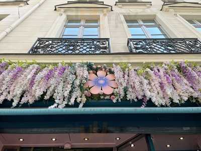 Flower Food, Paris