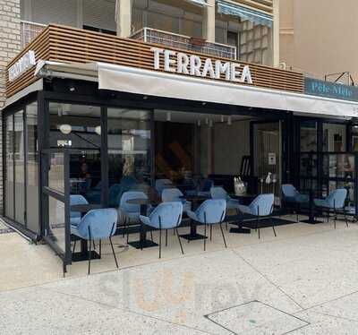 Terramea