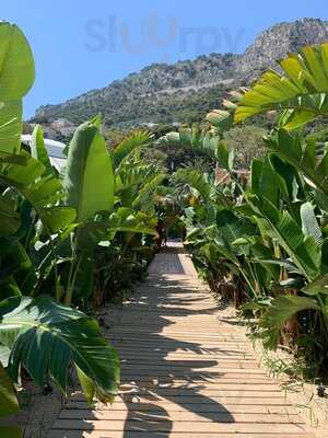 Batik by African Queen, Banyuls-sur-mer