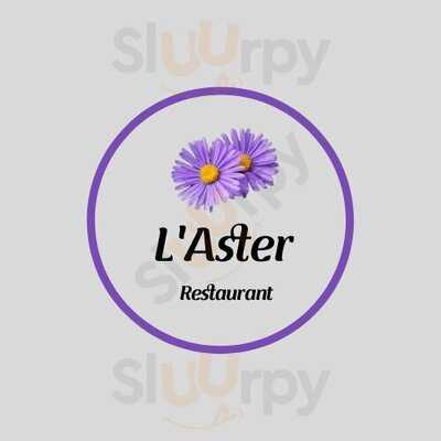 L'aster