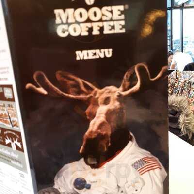 Moose Coffee