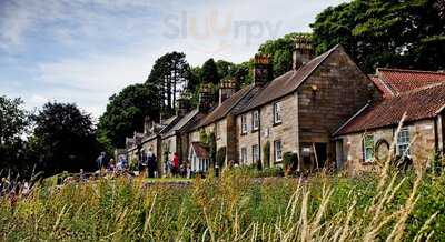 Park Life Cafe At The Moors Centre