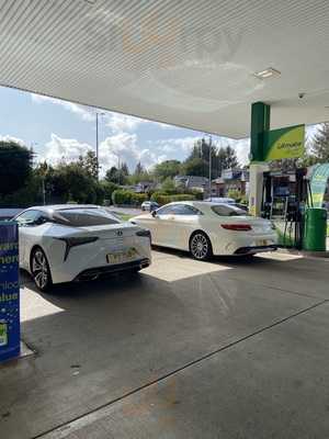 Bp