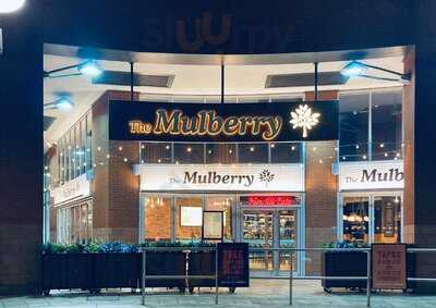 The Mulberry