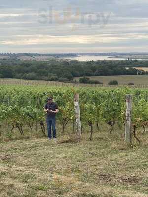 Clayhill Vineyard