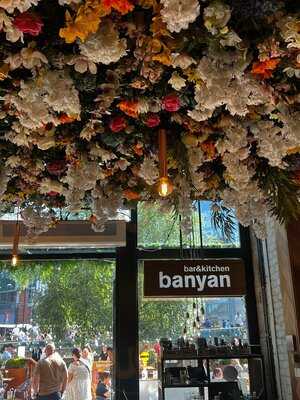 Banyan