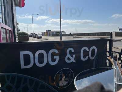 Dog&co Dog Friendly Coffee Shop