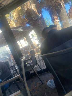 Palmera All Day