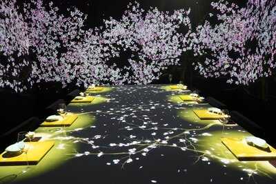 Moonflower Sagaya Ginza Art By Teamlab