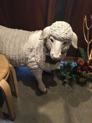 下町バル ながおか屋 神保町店