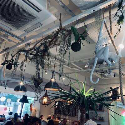 ソロモンズ アネックス