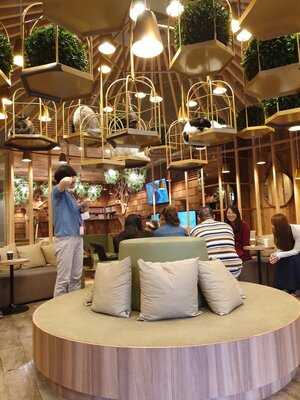 猫カフェ MoCHA 原宿店