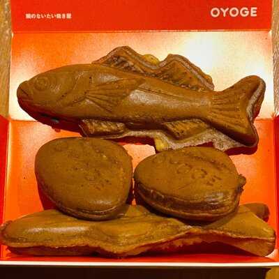 OYOGE 六本木店