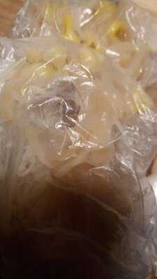 무교동유정낙지 압구정점