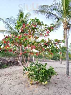 Palmera Negra Beach