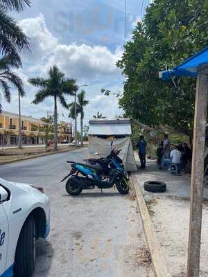 Blue Taco Truck