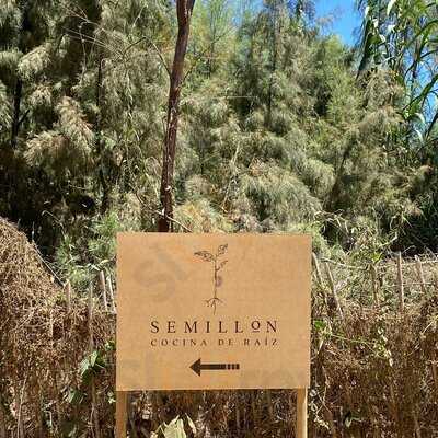 Semillon