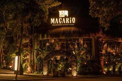 Macario | Contemporary Mexican Kitchen