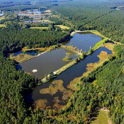 Cztery Stawy Kuchnia Natura Relaks